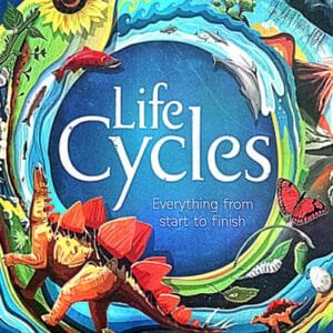 Life Cycles: Everything from Start to Finish, Illustrator: Sam Falconer, Publisher: DK Children; Illustrated edition, Genre:  Education